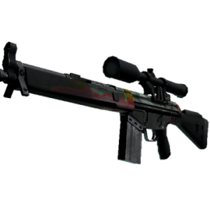 G3SG1 | Keeping Tabs (Battle-Scarred)