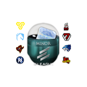 Boston 2018 Minor Challengers with Flash Gaming (Holo/Foil)